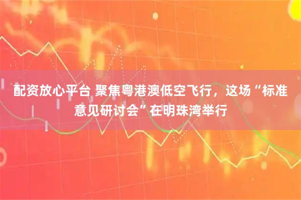 配资放心平台 聚焦粤港澳低空飞行，这场“标准意见研讨会”在明珠湾举行